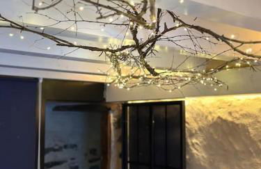 Romantic home stone with amazing view lake of Como and Oleandra - Foto 63