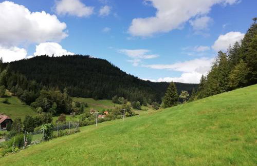 Appart Herzglück - Foto 21