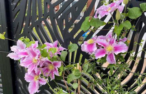 The Annexe - Foto 15