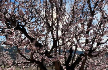 Maison typique avec vue dégagée sur la vallée - Photo 73