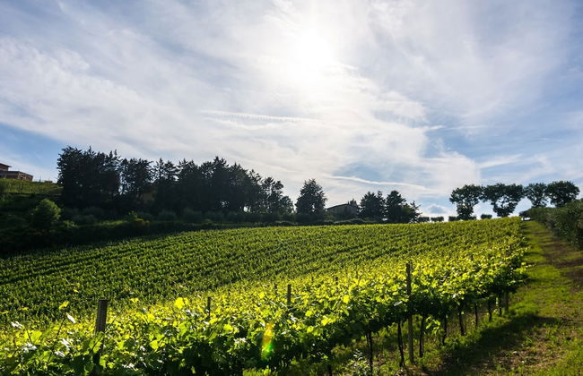 Secluded Mansion in Perugia with Hot Tub - Photo 29