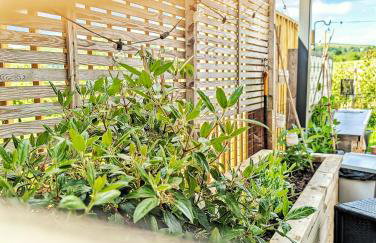 Rural Private Lodge - With Hot Tub - Outdoor Kitchen and Covered Lounge for Two - Foto 28