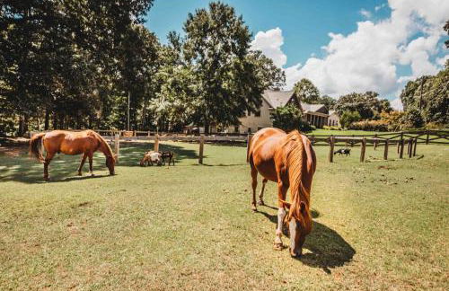 Lake Ranch - Foto 80