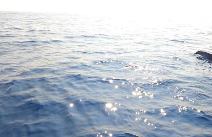 An oasis in the middle of Spanish style - Foto 20