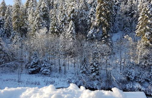 Le petit Kichon - Foto 38