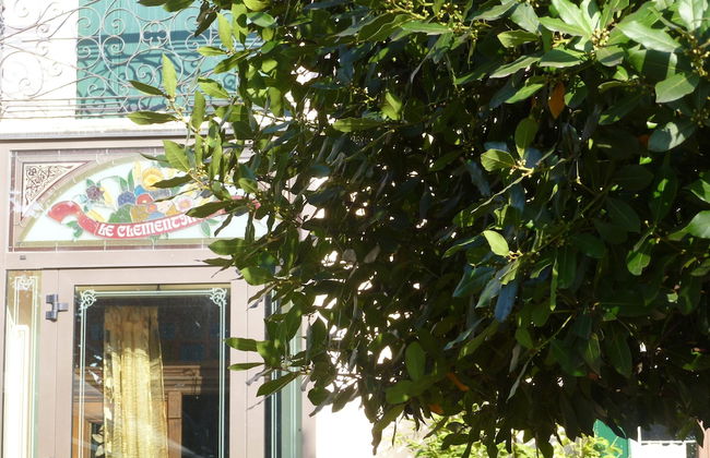 Agriturismo Le Clementine - Foto 1