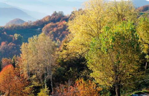 casa banana - Foto 28