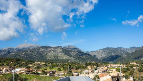 Duplex Can Roses - Photo 3