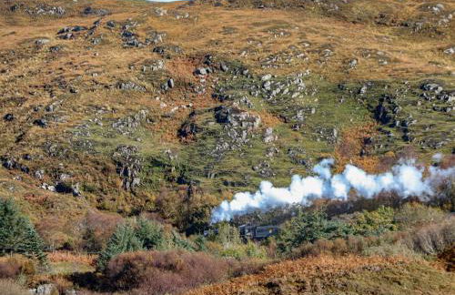 Woodland Cottage - Foto 28