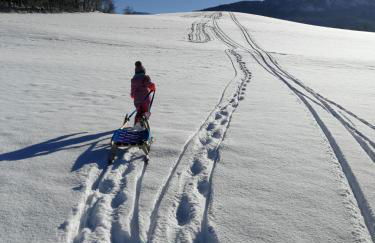 Panek, Haus - Foto 48