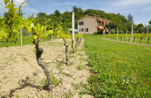 Studio apartment 365 - Photo 16