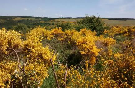 Ferienwohnung Biebes - Foto 26