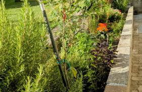 La Mansarda dei Tre Cipressi - Foto 30