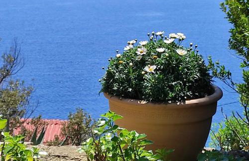 Getaway house Gundula - Photo 13