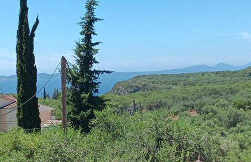 ZOGRAFOS SPIROS Rooms - Foto 6