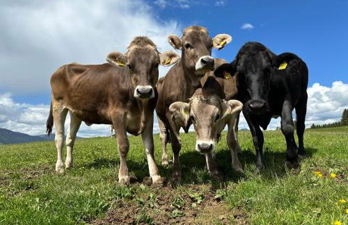 Landhaus Brigitte - Photo 66