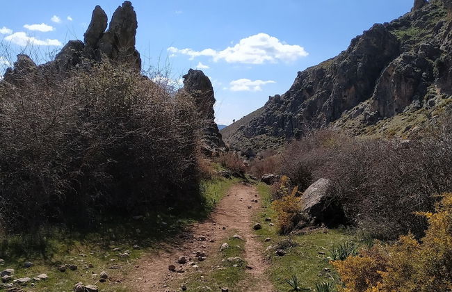 Casa Rural Arroyo de la Greda - Photo 30