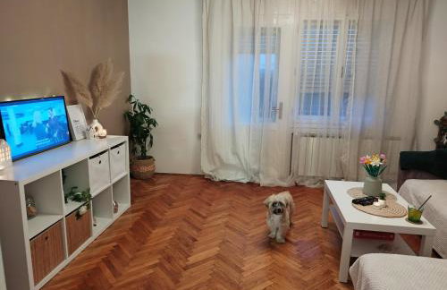 Ohana Holiday House - Foto 15