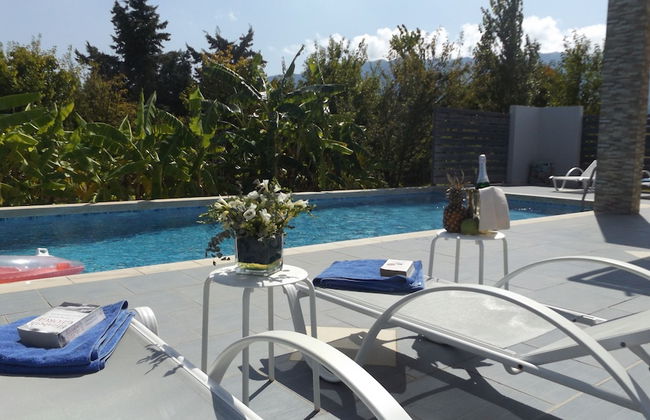 Xenos Villa 1 With Private Swimming Pool Near The Sea - Foto 24