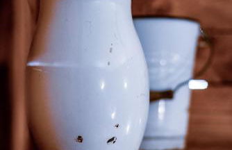 Alloggio turistico di Bandini Diego Hunter's House - Foto 28