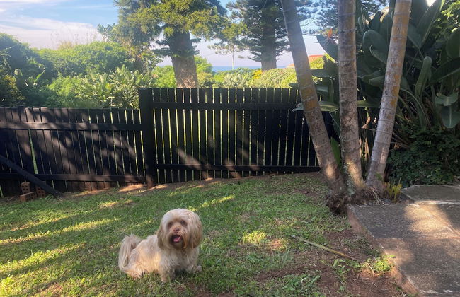 Fisherman's Cottage - Photo 11