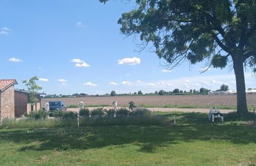 Ecofriendly house Colli Euganei - Photo 30