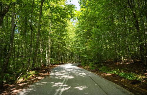 Aristi Villa Tessera - Photo 34