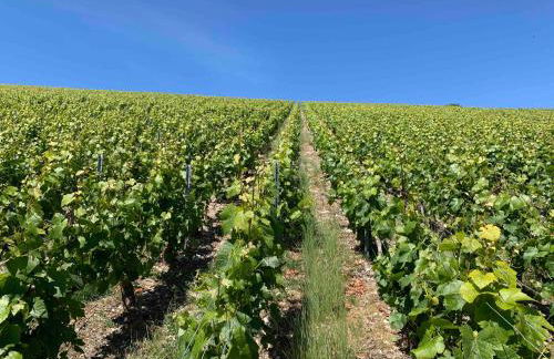 Secret Garden - Foto 36