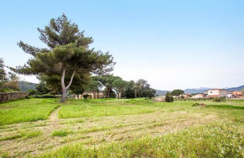 Appartamento Podere San Marco - Bilocale - Foto 2