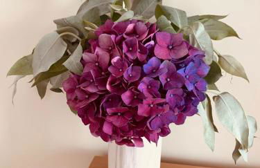 Casa dos Reis - Foto 45