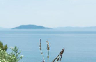 Akti Elia Villas Beachfront Collection - Photo 84