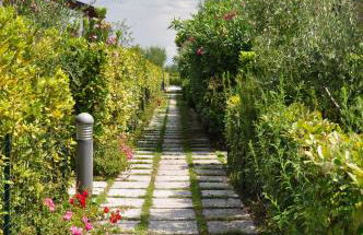 Belvedere Home - Foto 52