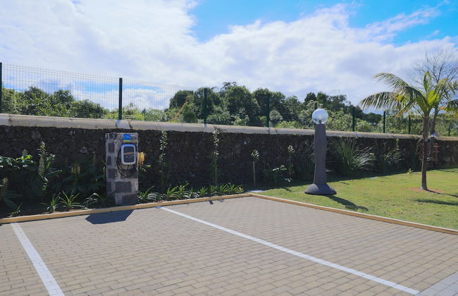 Parrots Village - Foto 37