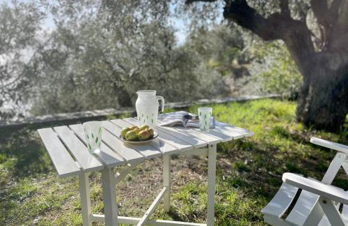 Beachfront Villa Rodi Pelion - Foto 29