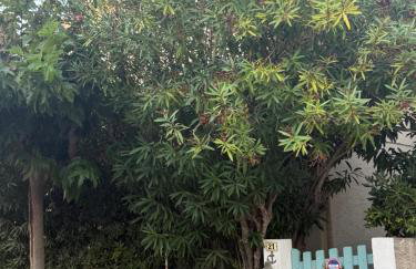 Maison 300 m de la plage avec un bel extérieur - Foto 23