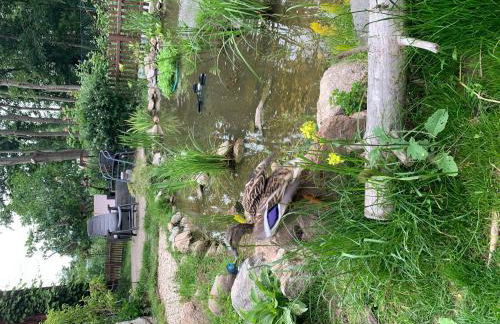 Ferienwohnung-Willgeroth - Foto 28