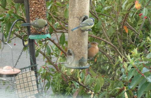 The Old Mill Cottage - Foto 77