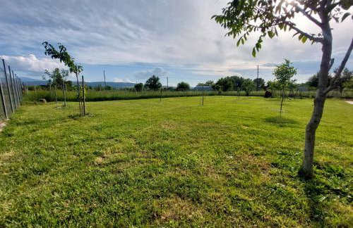 P&M APARTMENT - Photo 24