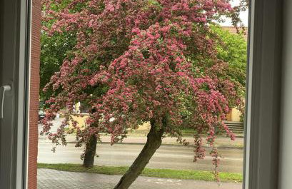 Apartament Mirka centrum - Foto 33