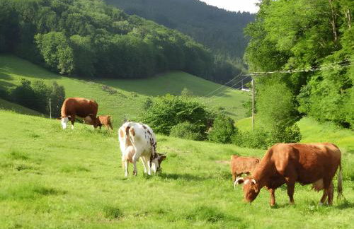 Heizmannshof - Foto 4