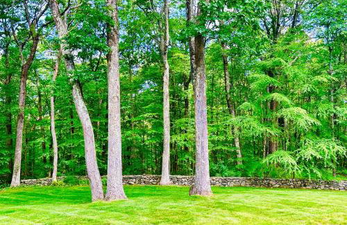 Upmarket Country Retreat, Washington, Connecticut - Foto 29