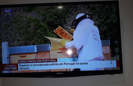 Apimonte City House A - Foto 52