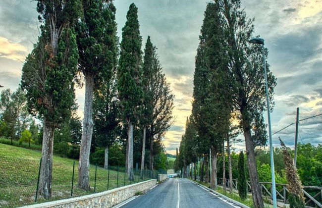 Farmhouse in Vinci With Pool and Tuscan Views - Foto 30