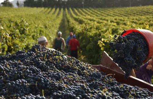 Villetta Il Faro sul Mare - Photo 75