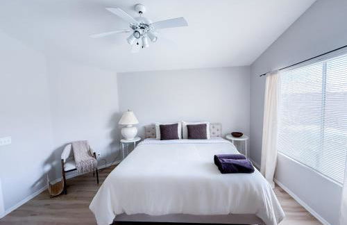 Cactus Bonito - Foto 49