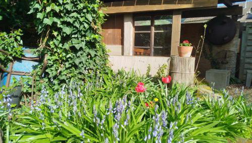 Schwarzwald-Lodge - hundefreundlich - Foto 3