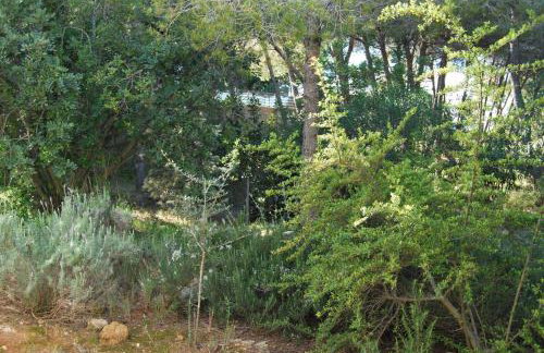 La Casa del bosque - Photo 32