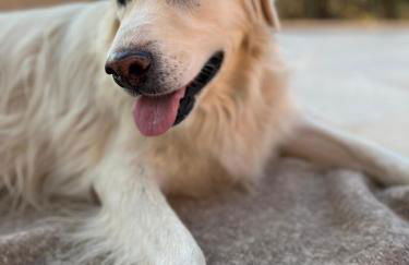 Villa Santa Margherita - Foto 134