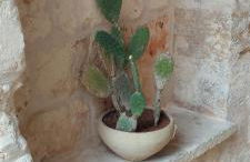 Dimora Da Tito - La Corte dei Colori - Foto 24