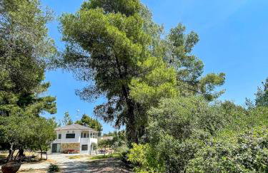 Aspioti Villas - Foto 10